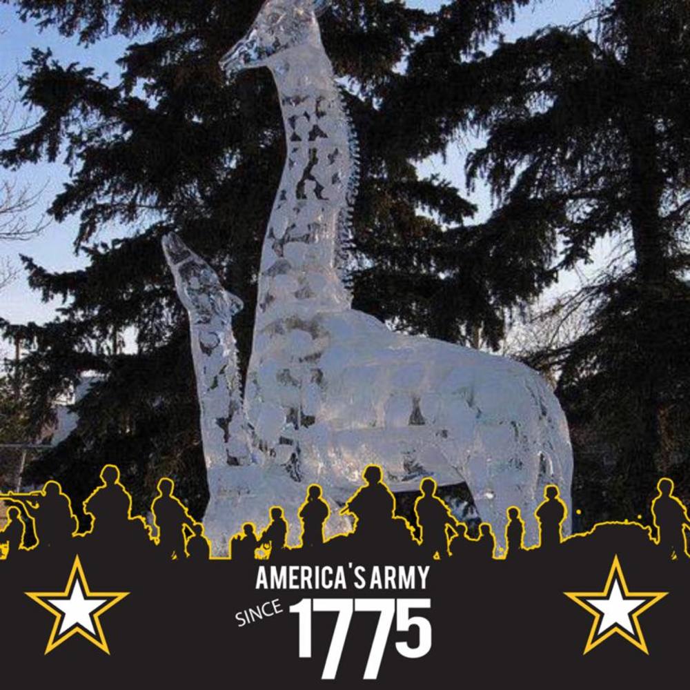 Meet your Posher, Shelvia